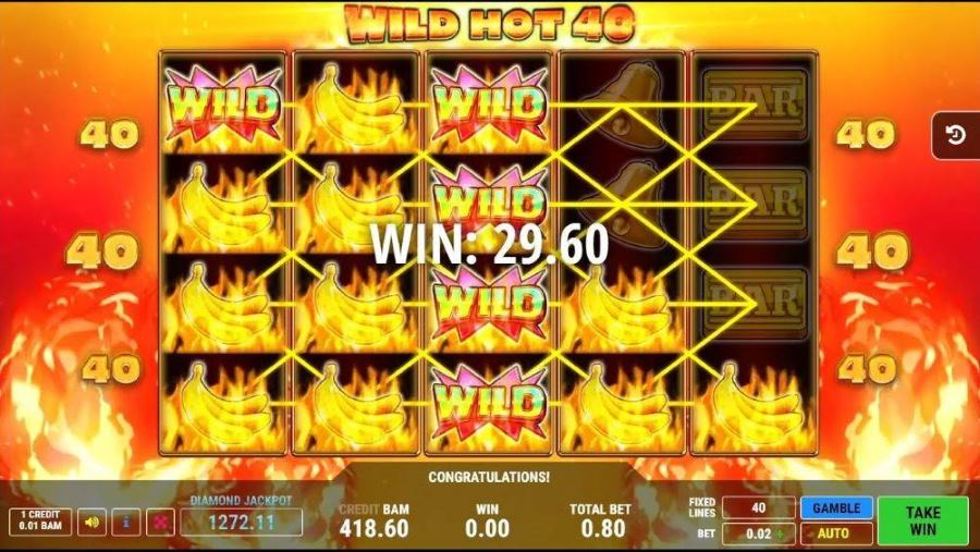 Función Gamble y premios de Wild Hot 40